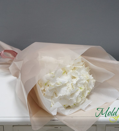 Bouquet of white hydrangea photo 394x433
